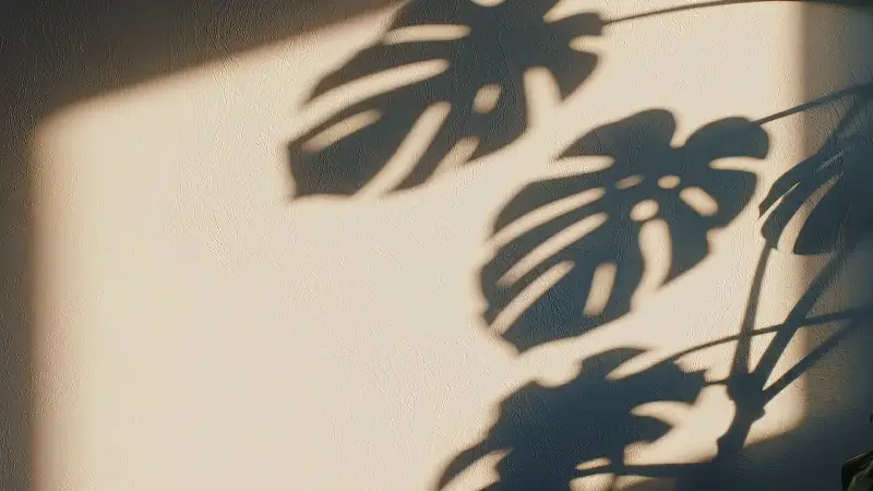 Standbild aus dem Video „Start“